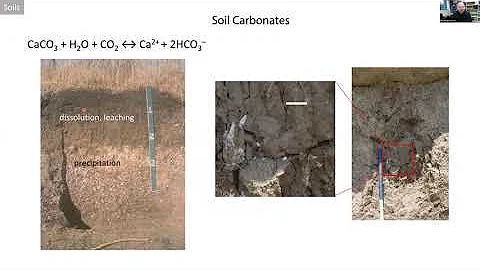 Triple oxygen isotopes in carbonates, biol. apatites, and continental paleoclimate reconstruction.