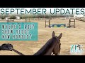 Where's Ace? MORE horses? [September Updates]