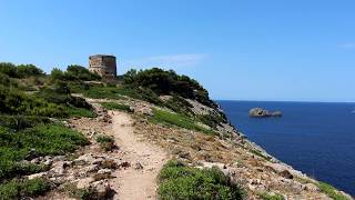 Excursión a la Torre de Albarca, Artá