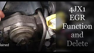 4JX1 engine EGR valve explained and delete. 2002 Isuzu Trooper Erg Valve