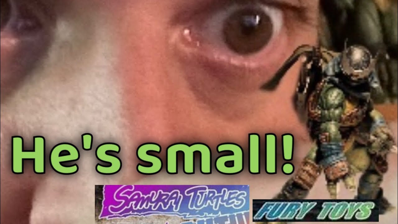 Christmas present 2025 tmnt samurai turtles donnie