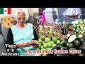 Mi Mamy es hoy una Niña Linda y Consentida🥰🥰, Encontramos Frutos que no conocía😲😲,  Vlogs México
