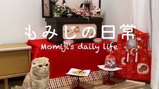 【猫の日】ひな人形を一緒に飾ってみた（【Cat's Day】 displayed Hina dolls together.） by もみじの日常Momiji's daily life 197 views 2 months ago 5 minutes, 14 seconds