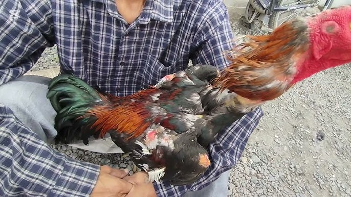 U ozini sormoqchi bolgan joyda porno onlayn tomosha qiling.