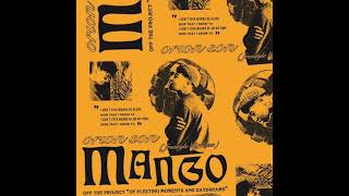 Free Aap Rocky Lofi Type Beat - Mango