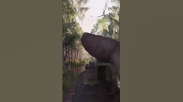 The Springfield Headclicker #shorts #huntshowdown #tideofshadows