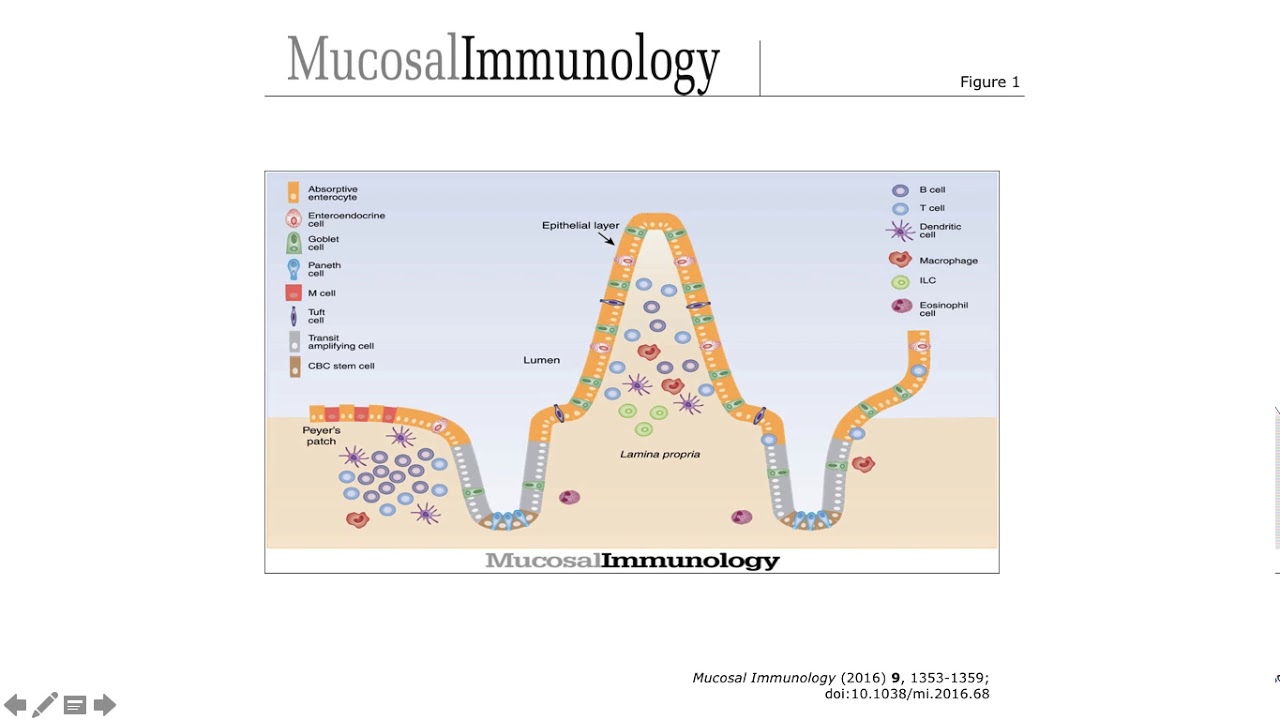 Natural defenses & Microbiome of the GastroIntestinal (GI) tract