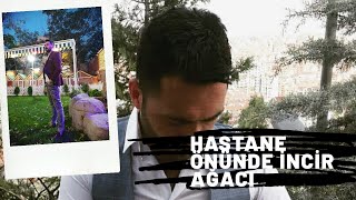 HASTANE ÖNÜNDE İNCİR AĞACI GALİP POYRAZ KILIÇEL Resimi