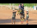 ESPECIAL: Cavalo UMBIGO DE GILÓ conquista o III Torneio do Umbu