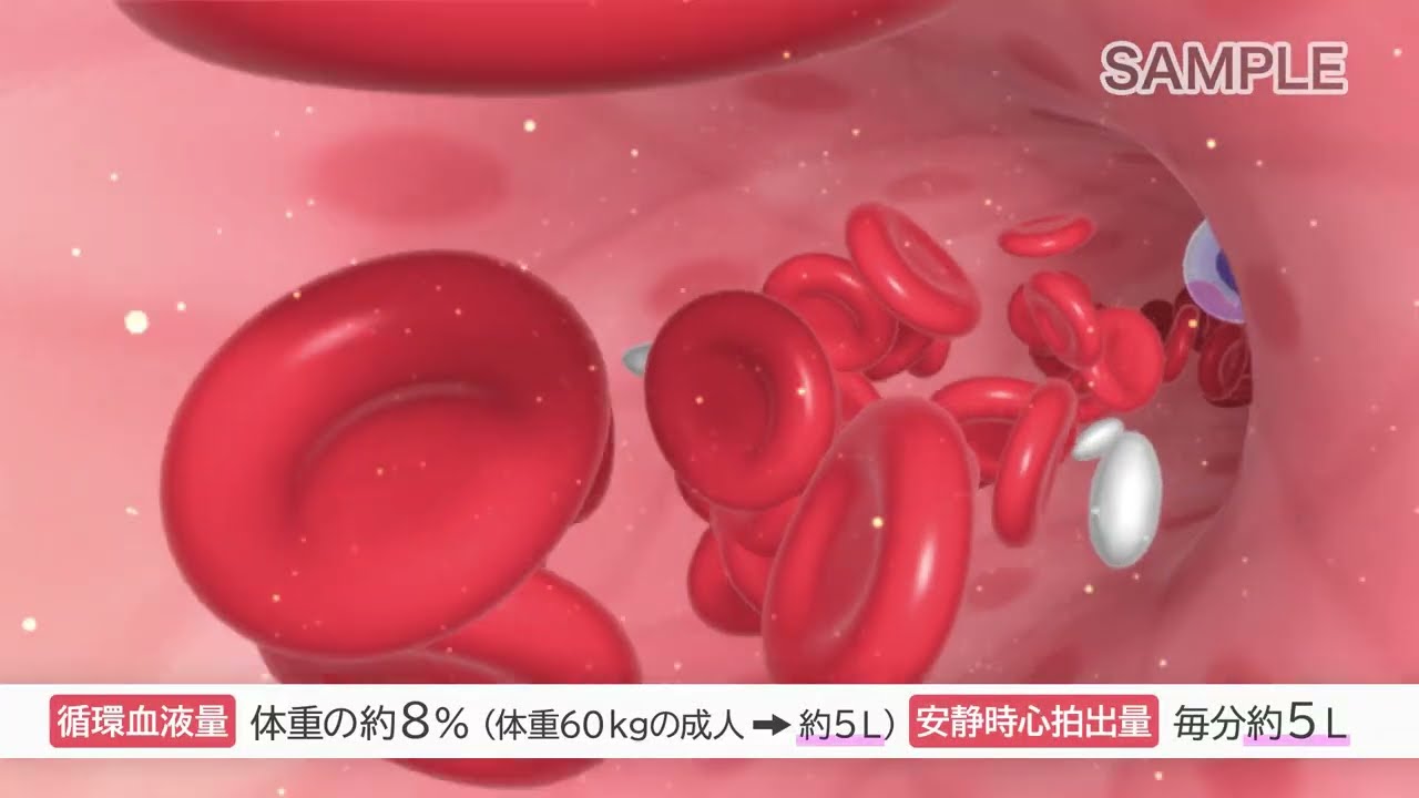大沼式人体科学 真の根治医療 DVD 目で見る解剖と生理 第3版 – 医学映像教育センター 公式オンラインショップ