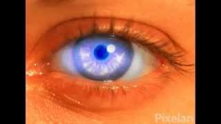 SpiceMaster Video Effects Plugins -- FX Animation Example 03