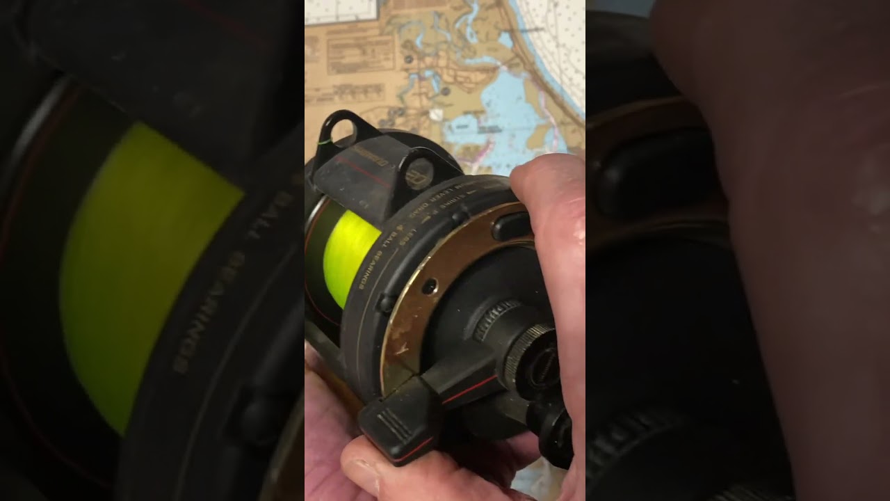 Shimano TLD 20 fishing reel of the day 