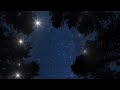 Rain Sounds for Deep Sleep 🌙 Hypnotic Waves, Owls, Crickets &amp; Frogs | Night Serenity Ambience
