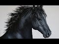 Black horse acrylic painting live tutorial