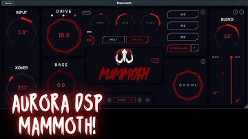 MAMMOTH! Aurora DSP bass amp sim!