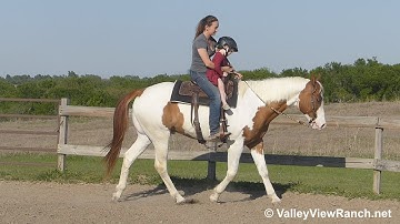 Invitation To The Bar - lope-offs, stops, riding double! - ValleyViewRanch.net