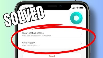 How to delete your browsing history on Mint Browser