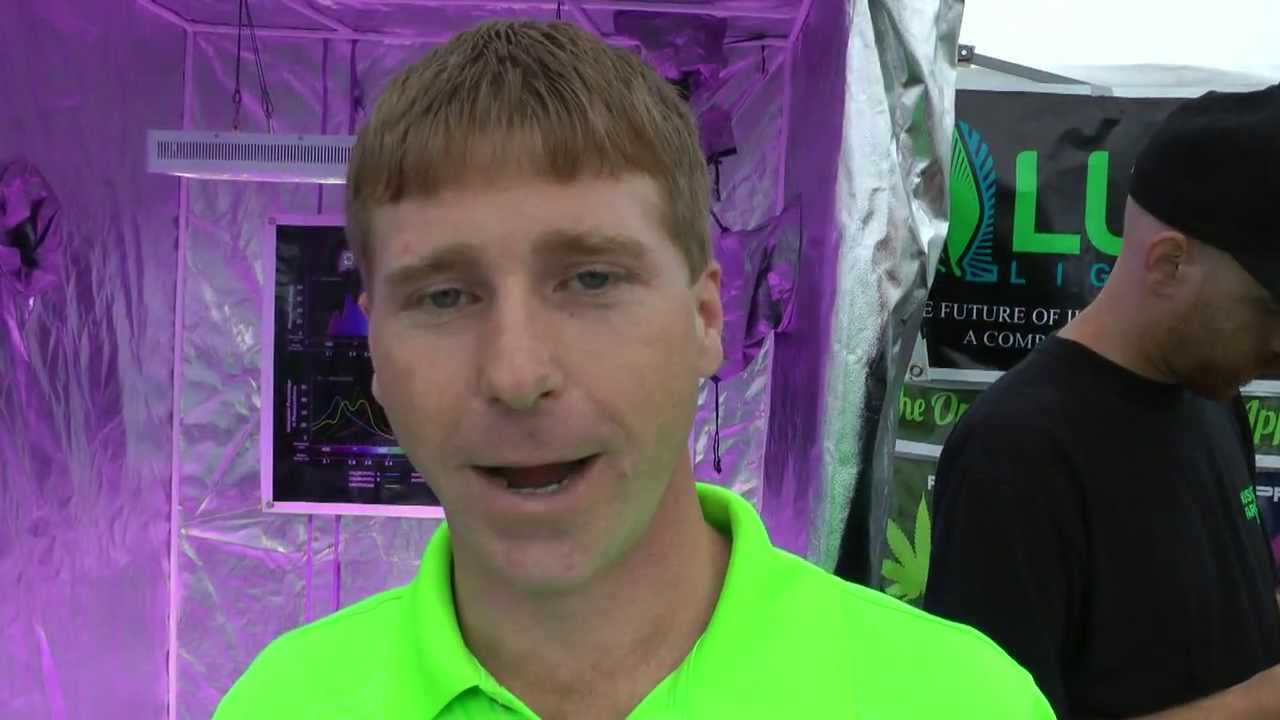 Seattle Cannabis Cup - LUSH Led Lighting