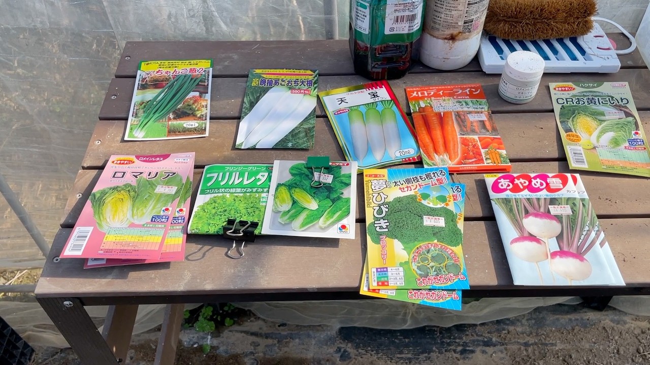 正直これが一番うまい。春収穫おすすめ品種公開