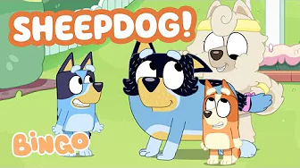 Cheeky Sheepdog! 🐑 🧡 | Bluey Season 3 Highlight ⭐️ | Bingo - Official Channel