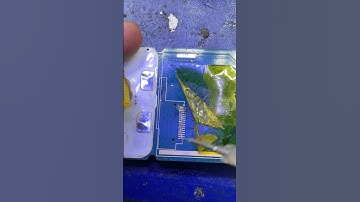 Jio phone display replace😍🤌 #display #jiophone