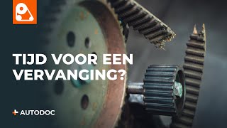 Hoe Distributieset met waterpomp vervangen - videohandleidingen