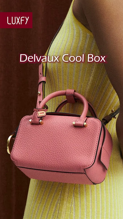DELVAUX Cool Box Mini  Honest Review of the Pros & Cons 
