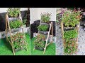 Amazing flower shelf | Diy recycle plastic bottles and wooden into flower stand wooden shelf