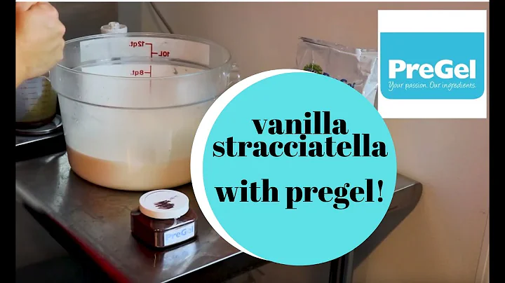 Vanilla stracciatella gelato ice cream with Pregel and Electro Freeze B12V batch freezer