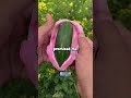 What S Your Crazy SnapChat Story What S Your Crazy SnapChat Story