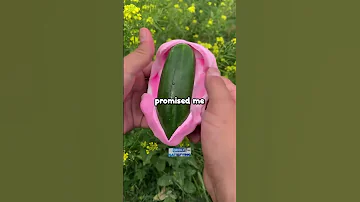 What S Your Crazy SnapChat Story 