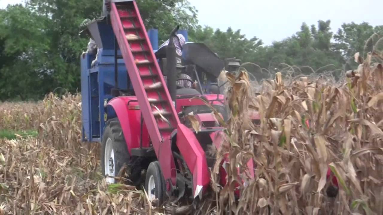 21 บ้านบุ่งกกเรียง เพชรบูรณ์ 14พ ค 48