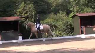 baileys hs hannover2015 movie