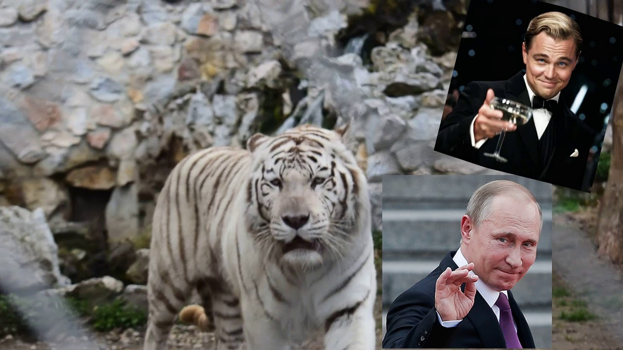 КАК ДЕШЕВО СЪЕЗДИТЬ В СЕРБИЮ В БЕЛГРАД ЗАТРАТИВ €125 НА ДВОИХ. НИКОЛА ...