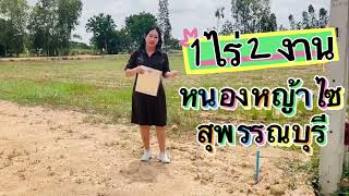 Ep.35 ขายที่ดิน 1 ไร่ 2 งาน ราคา 525,000 บาท ติดถนนสองด้าน อ.หนองหญ้าไซ จ.สุพรรณบุรี มีประปา ไฟฟ้า