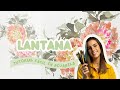 Flor LANTANA en acuarela | Acuarela Botánica Suelta | Tutorial fácil