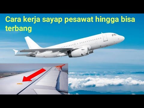 Video: Apakah itu pesawat sayap tetap?