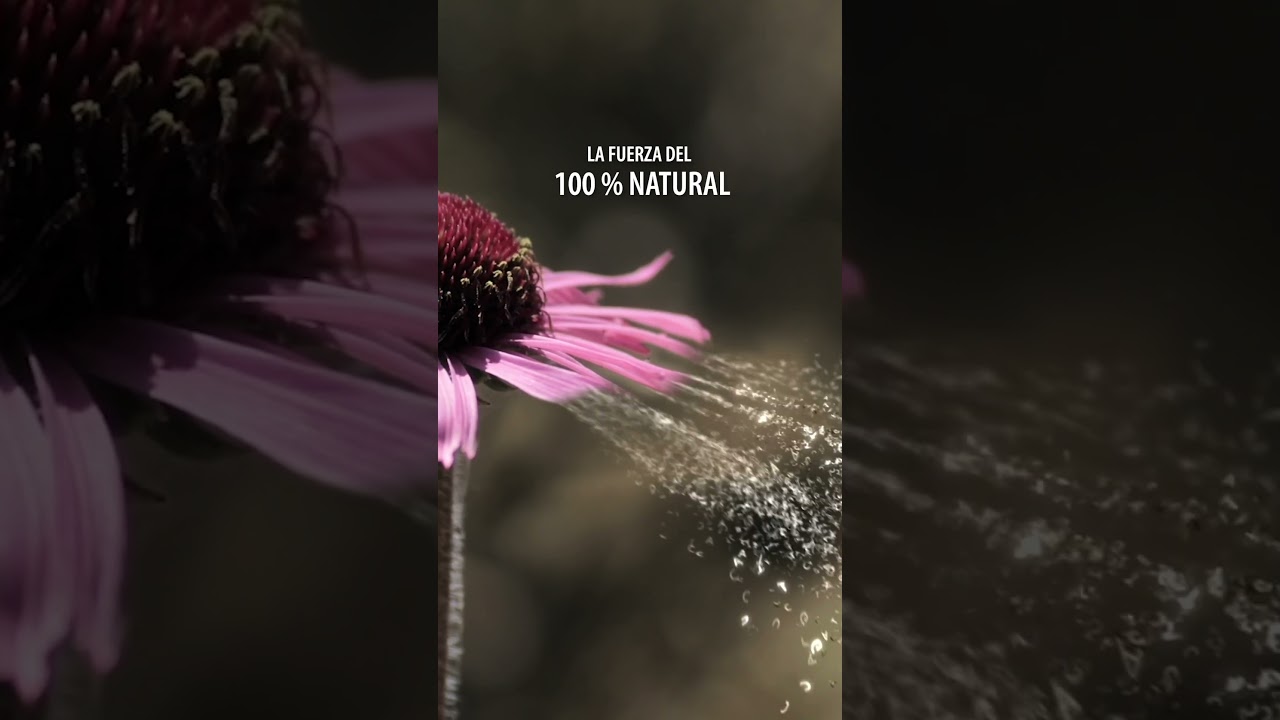 Immunomix Advanced de Aboca 