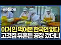 이거 안 먹어본 사람 찾는 게 더 힘들다. 하루 생산량만 무려 30톤이라는데｜단단한 통무 얇게 잘라 새롭게 다시 태어나는 역대급 공장｜극한직업｜#골라듄다큐 