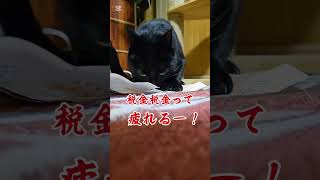自動車税#噛#ストレス解消