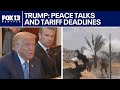 Trump cabinet meeting: Tariffs and peace talks