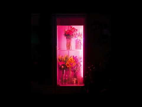 그대의 꿈결 LIVE ['이상한 경치' 단독 공연]