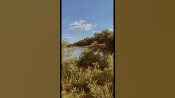 Don’t judge my video skills #summertime #river #smalltown #WeekendVibes #fok