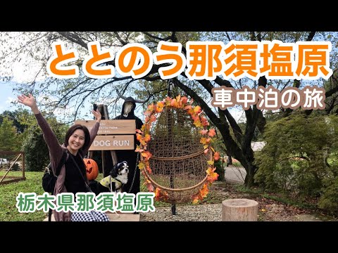 夏の疲れを癒しに栃木県に来た５０代看護師と犬１匹。心身がととのう場所、那須塩原。那須車中泊の旅。