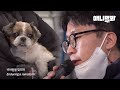 지옥의 개농장에서 살아남은 강아지들이 우리에게 하고싶은 말ㅣThe Very Last Wish Of Dogs Rescued From The Dog Farm