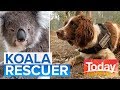 The brave dog saving injured bushfire koalas | Today Show Australia