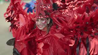 Trinidad &amp; Tobago Carnival Beauty