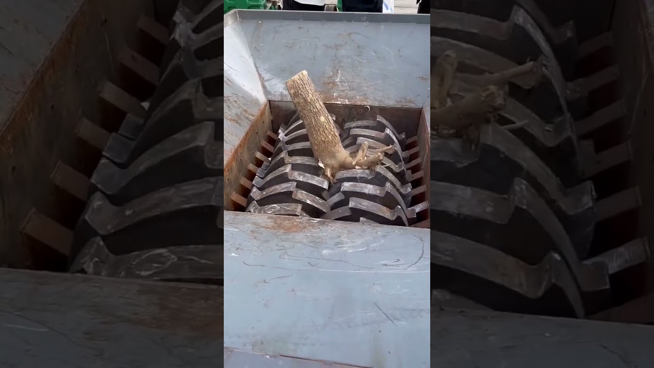 Tree Roots vs. Crushing Machine! Watch the Powerful Shred! 🌳💥 