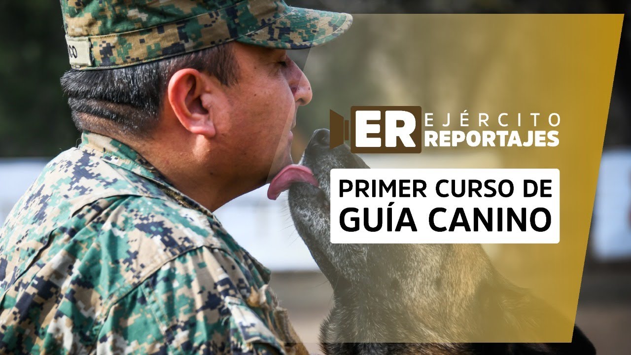 Primer Curso de Guía Canino