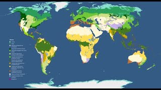 Our Changing World - The Impact of Climate Change on Earth's Biomes (4 Minutes)